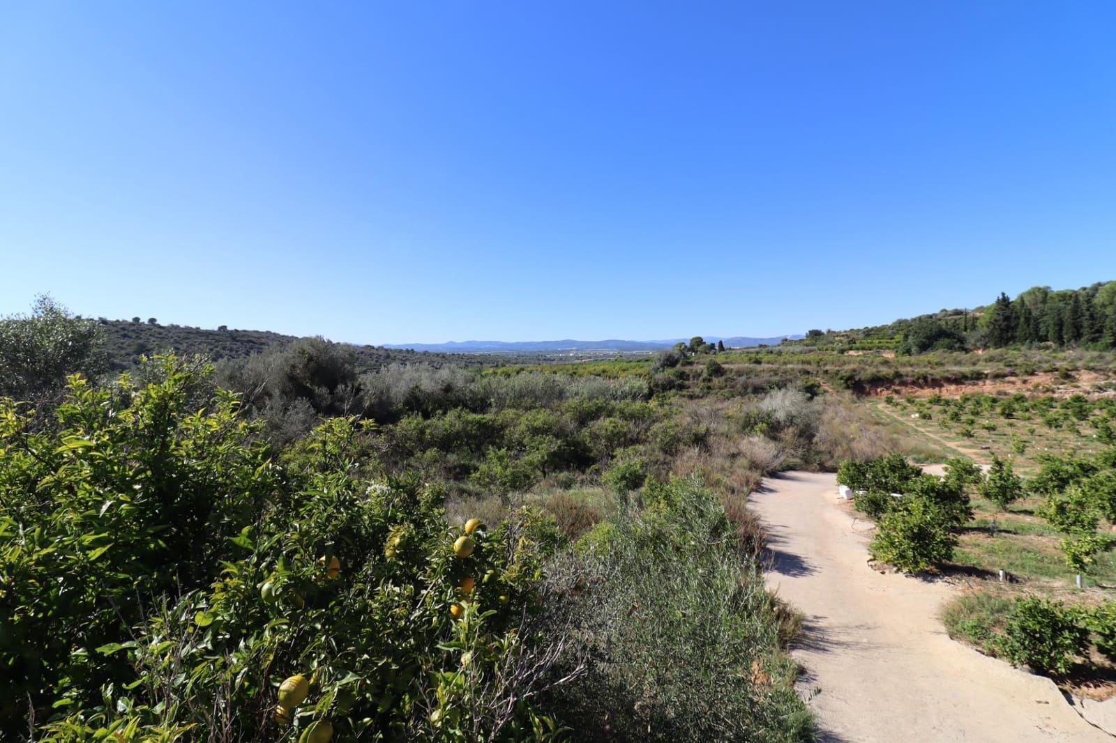 Rakentamaton maa myytävänä paikassa Ulldecona - 36 000 € (Ref: 9362633)