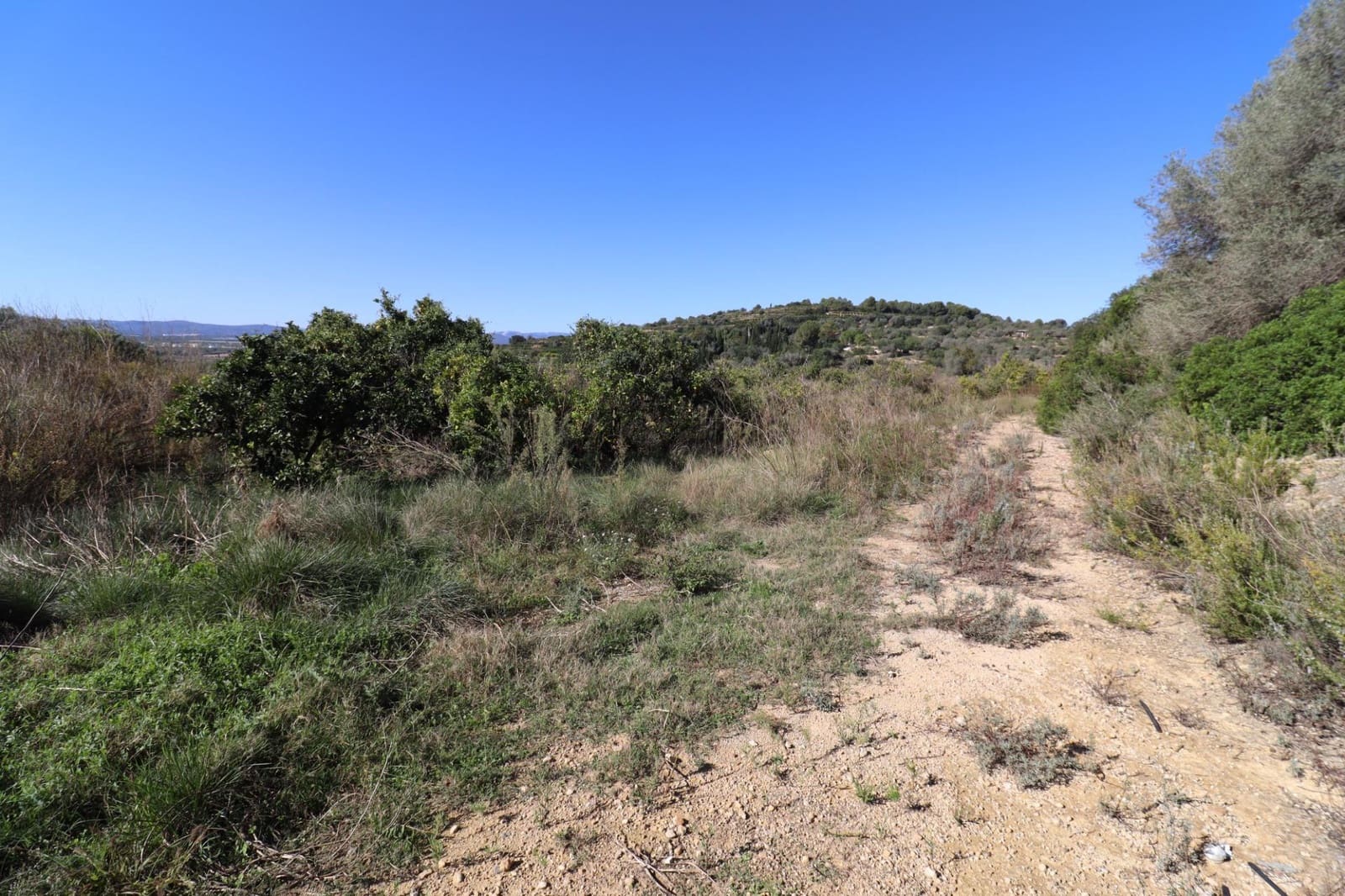 Rakentamaton maa myytävänä paikassa Ulldecona - 36 000 € (Ref: 9362633)