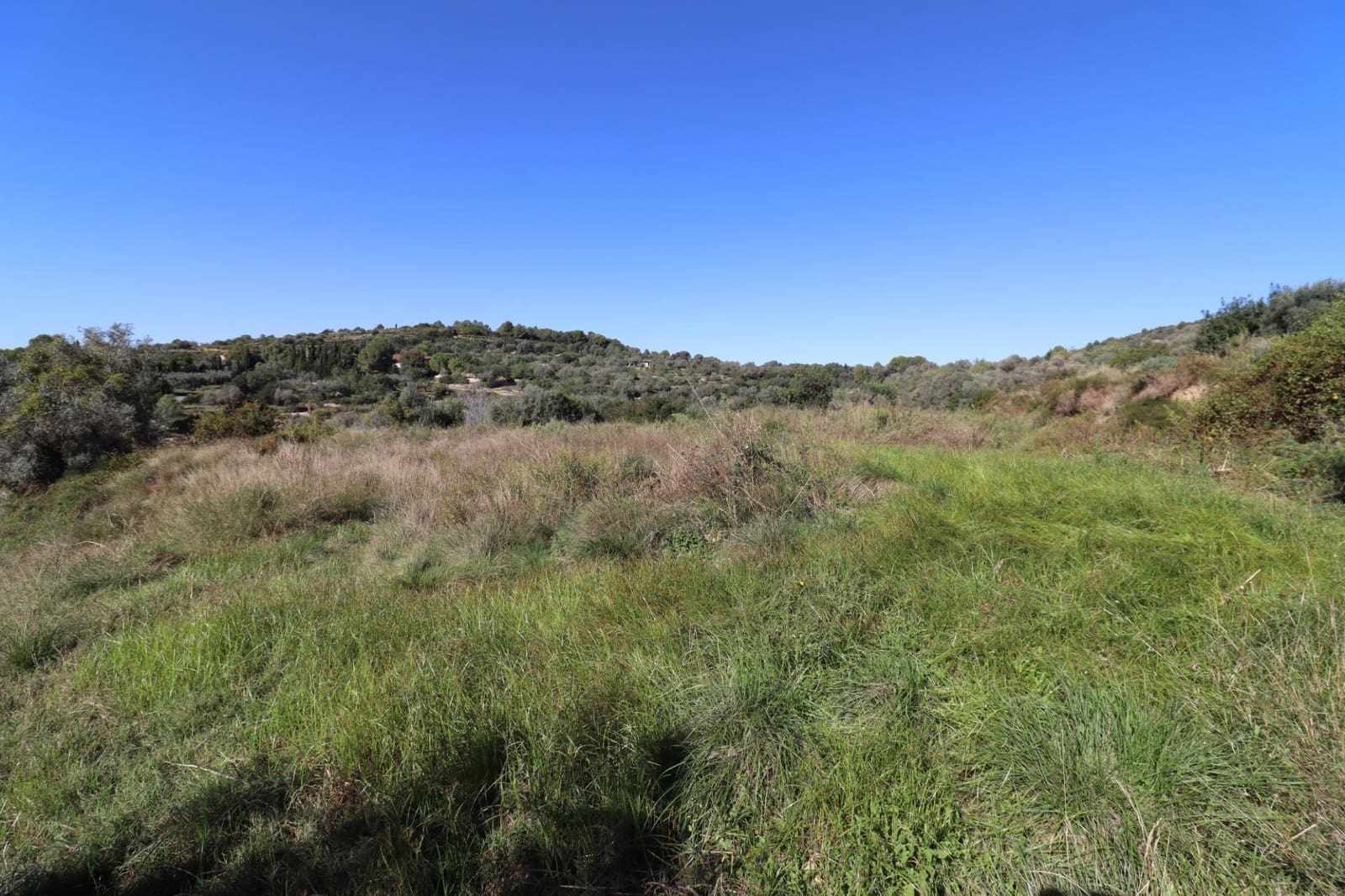 Rakentamaton maa myytävänä paikassa Ulldecona - 36 000 € (Ref: 9362633)