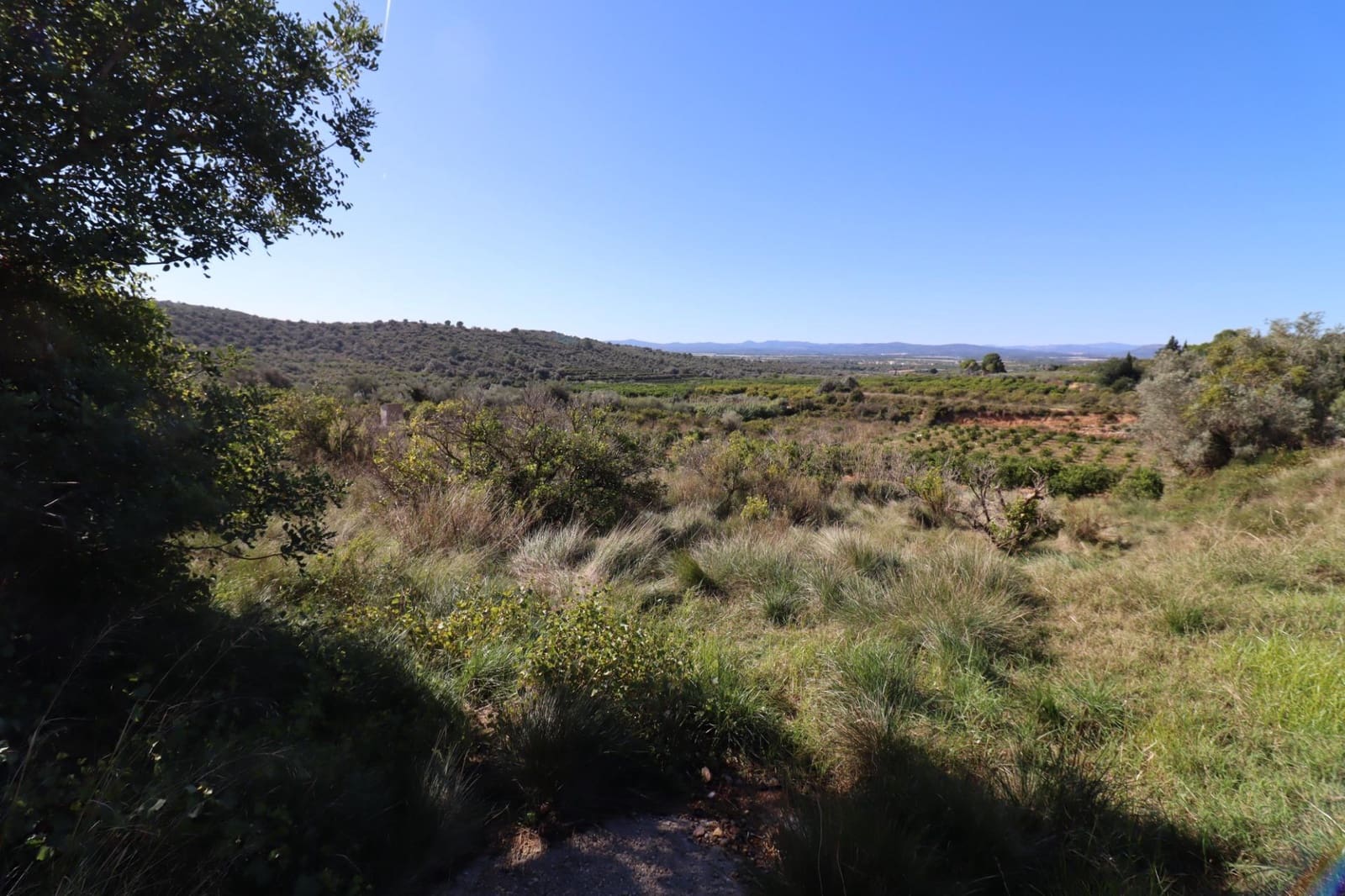 Rakentamaton maa myytävänä paikassa Ulldecona - 36 000 € (Ref: 9362633)