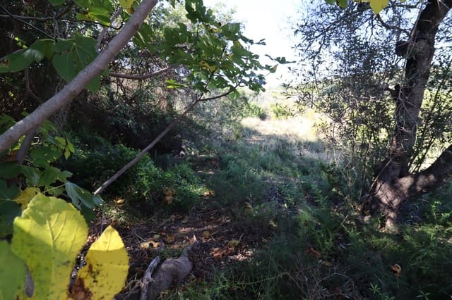 Rakentamaton maa myytävänä paikassa Ulldecona - 36 000 € (Ref: 9362633)