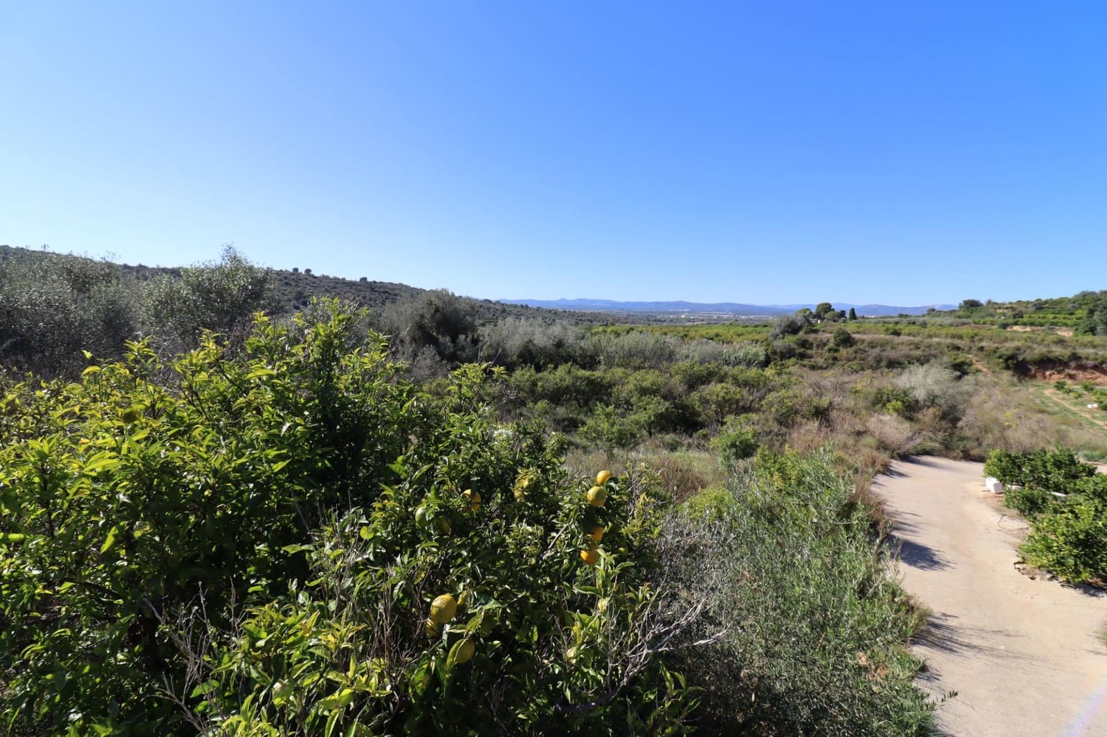 Rakentamaton maa myytävänä paikassa Ulldecona - 36 000 € (Ref: 9362633)