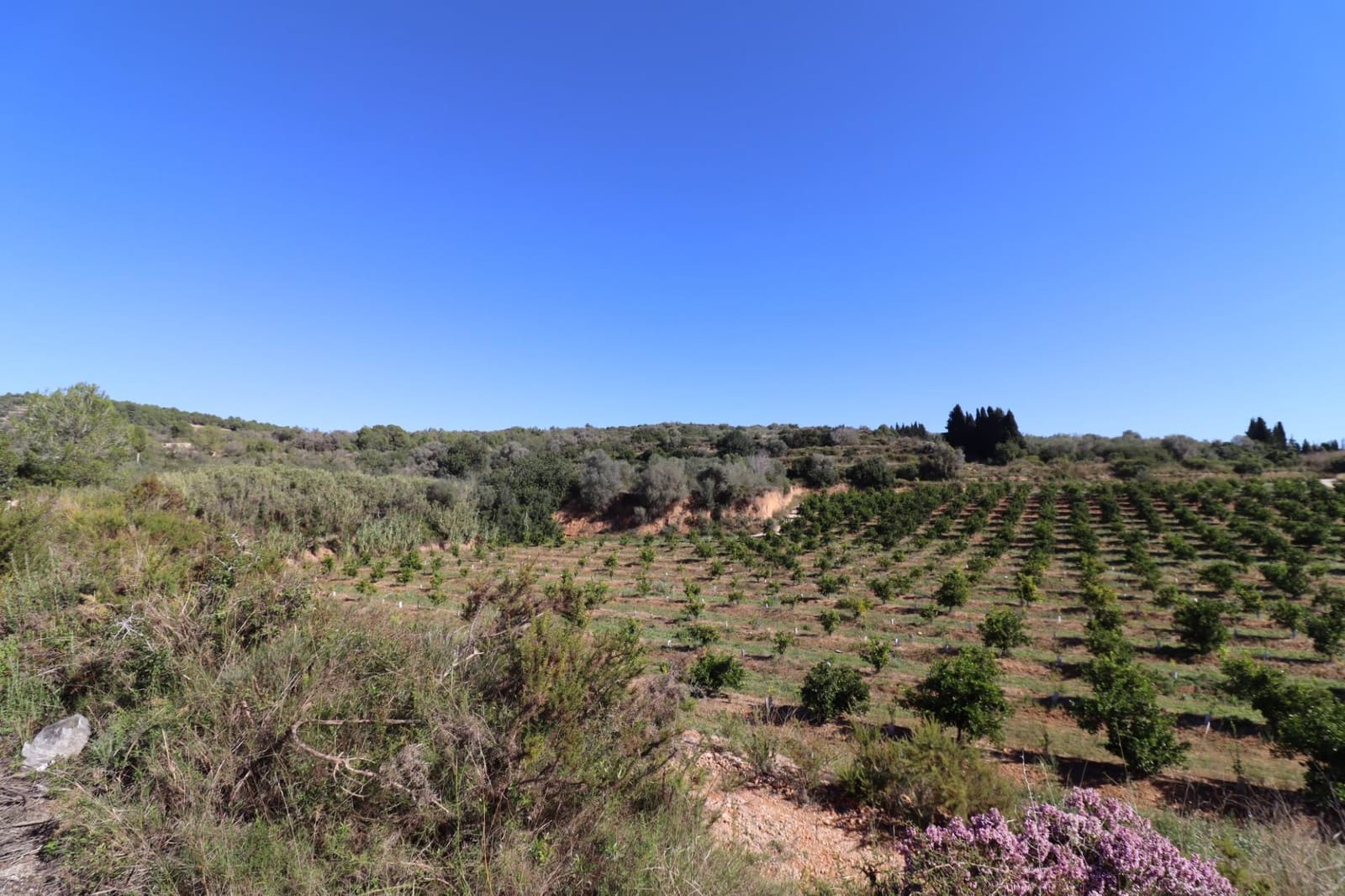 Rakentamaton maa myytävänä paikassa Ulldecona - 36 000 € (Ref: 9362633)