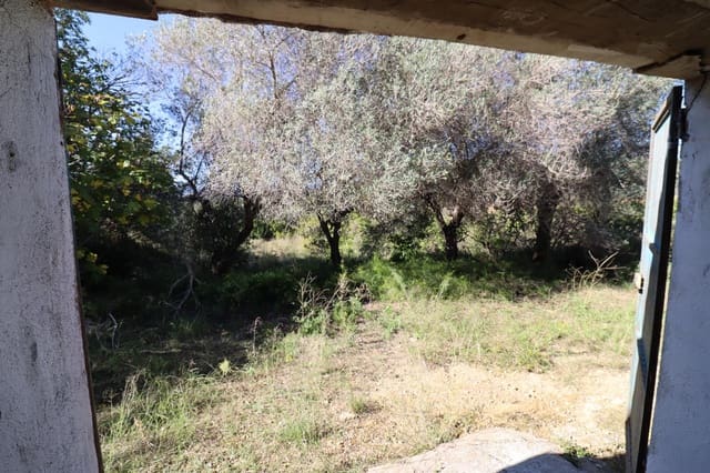 Rakentamaton maa myytävänä paikassa Ulldecona - 36 000 € (Ref: 9362633)