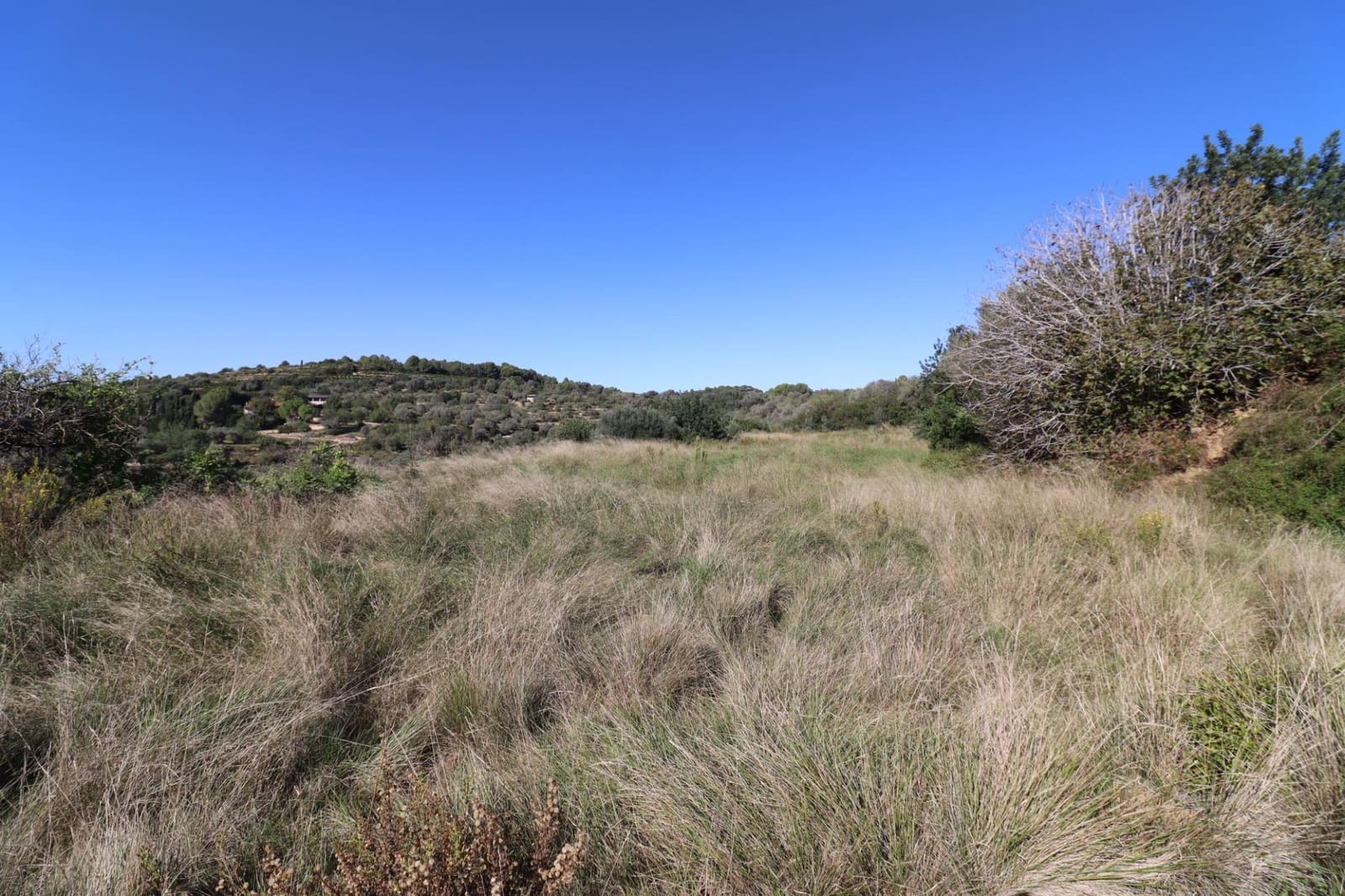 Rakentamaton maa myytävänä paikassa Ulldecona - 36 000 € (Ref: 9362633)