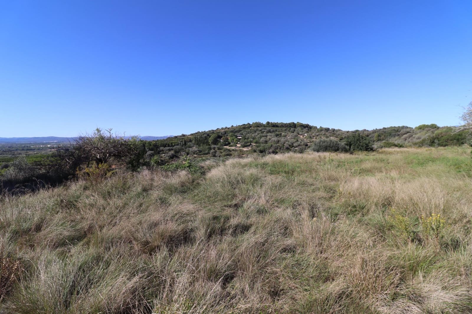 Rakentamaton maa myytävänä paikassa Ulldecona - 36 000 € (Ref: 9362633)