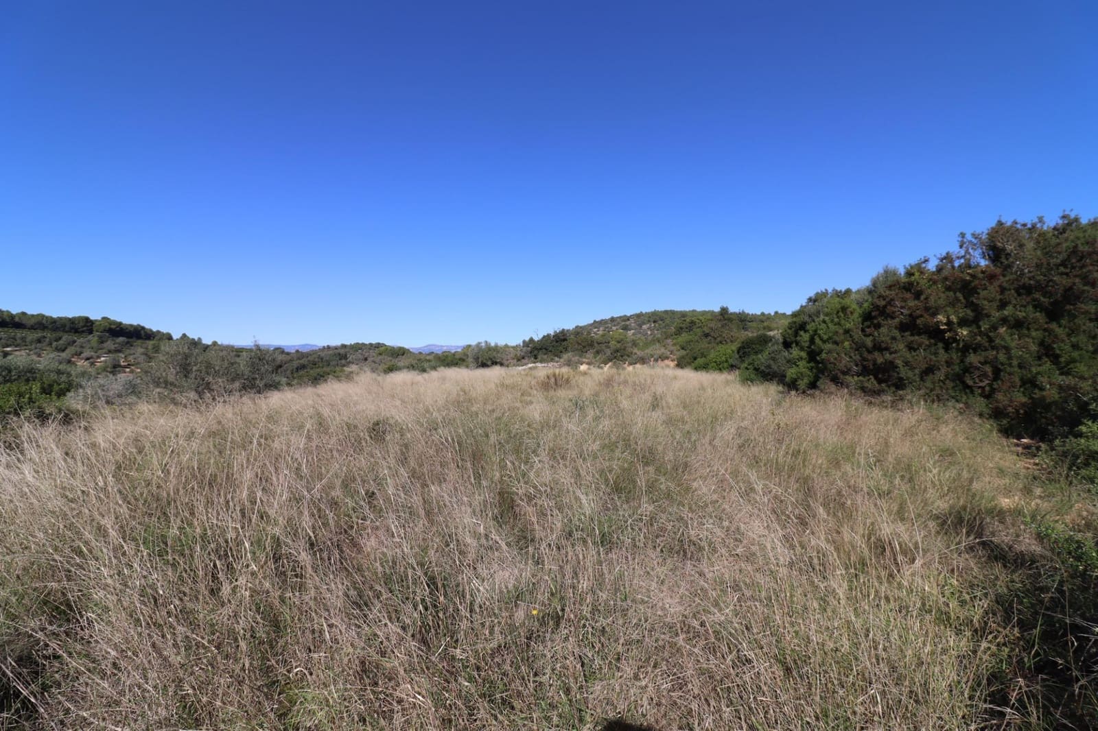 Rakentamaton maa myytävänä paikassa Ulldecona - 36 000 € (Ref: 9362633)