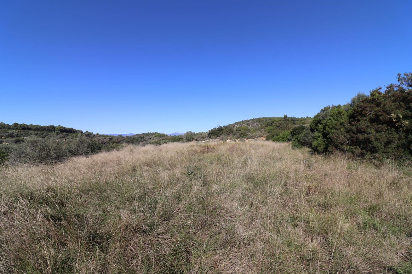 Rakentamaton maa myytävänä paikassa Ulldecona - 36 000 € (Ref: 9362633)