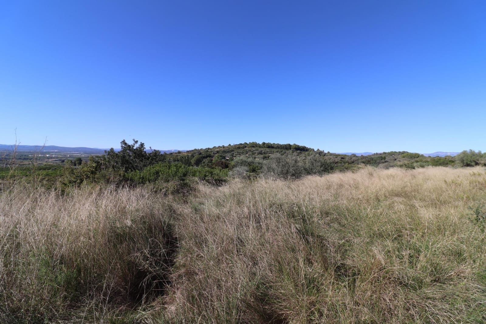 Rakentamaton maa myytävänä paikassa Ulldecona - 36 000 € (Ref: 9362633)