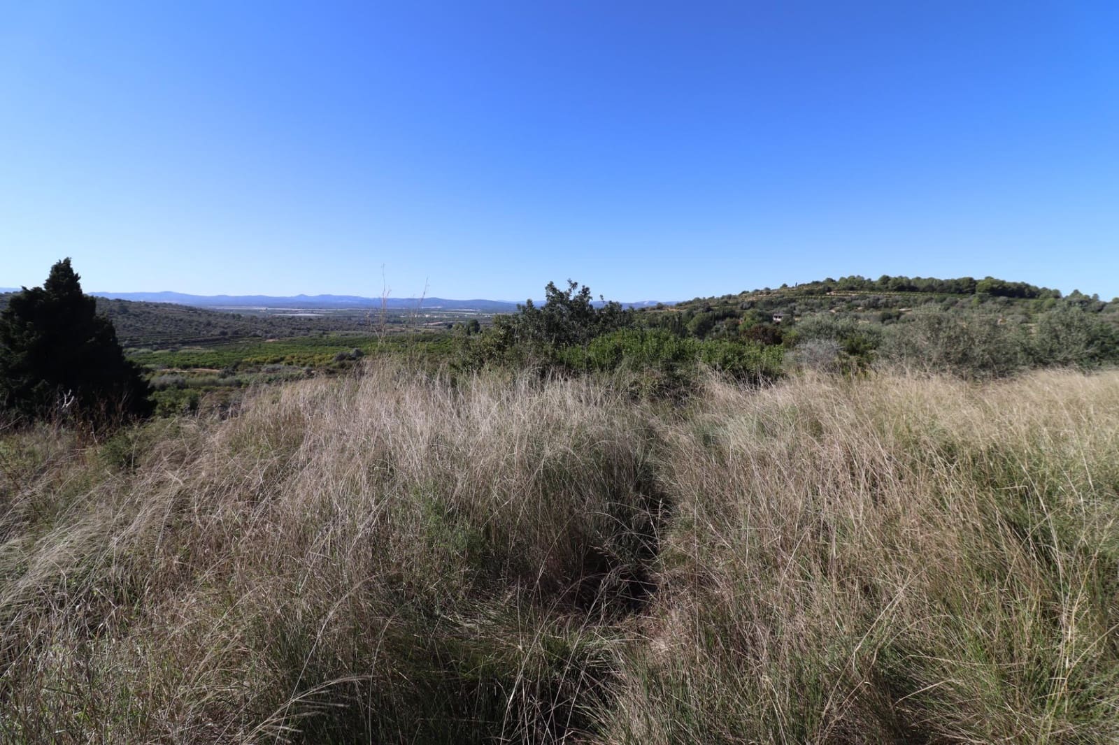 Rakentamaton maa myytävänä paikassa Ulldecona - 36 000 € (Ref: 9362633)