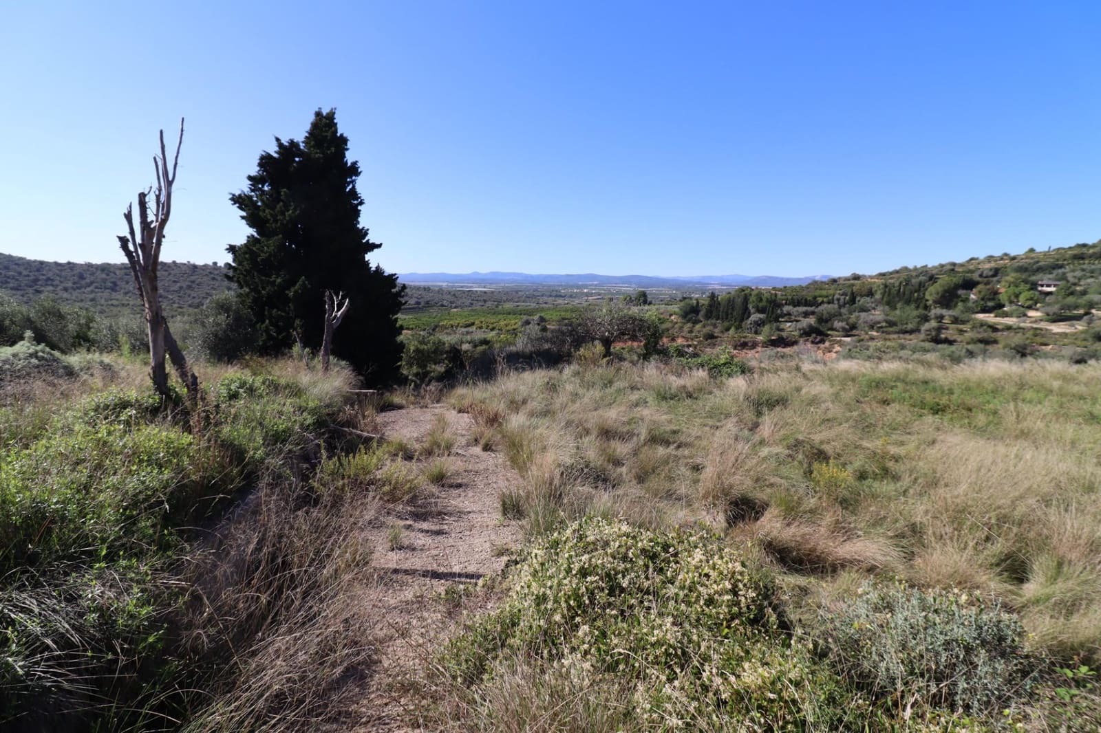 Rakentamaton maa myytävänä paikassa Ulldecona - 36 000 € (Ref: 9362633)