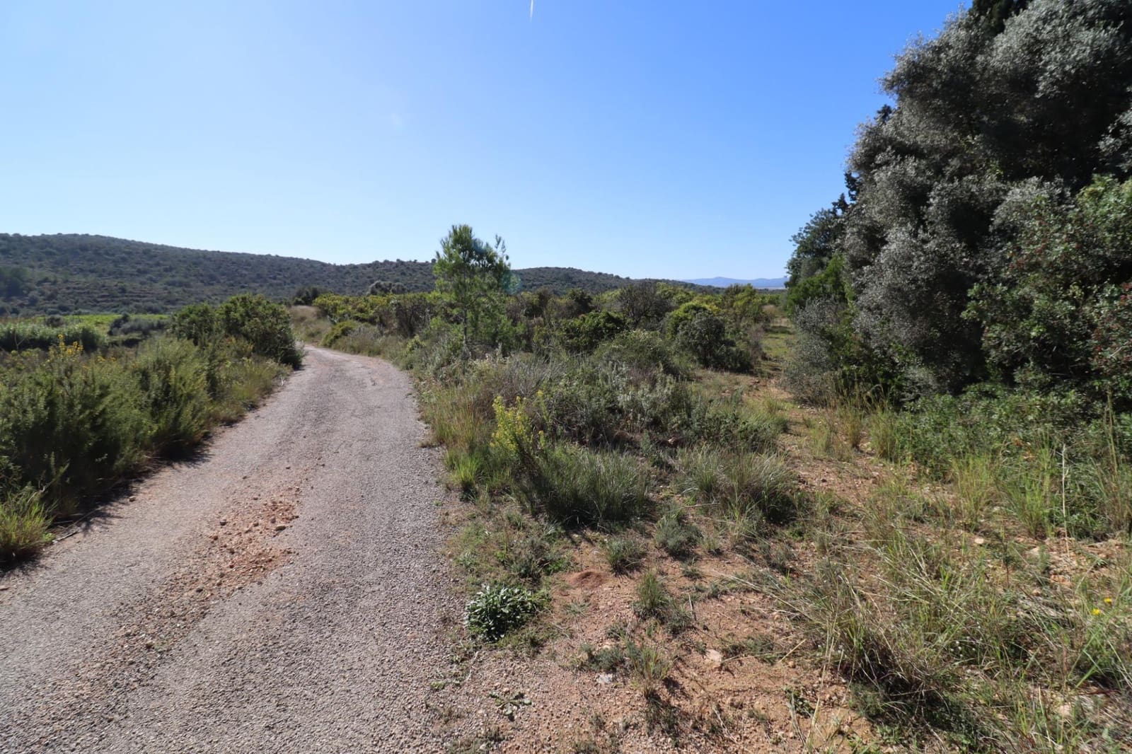 Rakentamaton maa myytävänä paikassa Ulldecona - 36 000 € (Ref: 9362633)