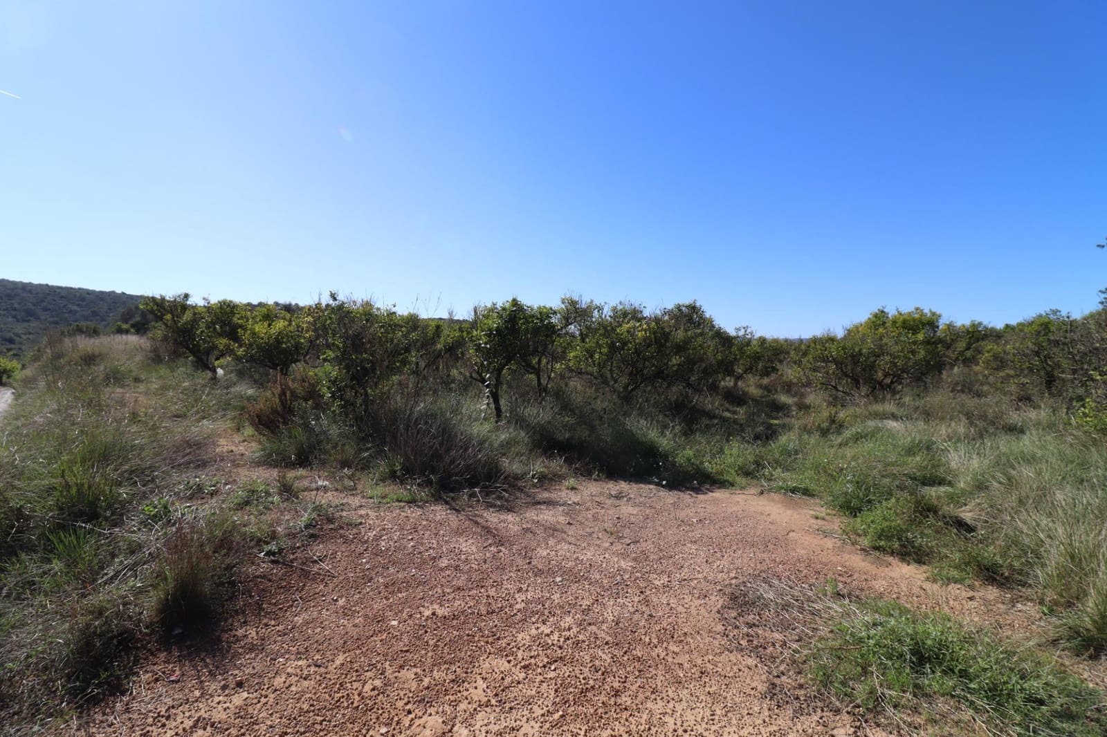 Rakentamaton maa myytävänä paikassa Ulldecona - 36 000 € (Ref: 9362633)