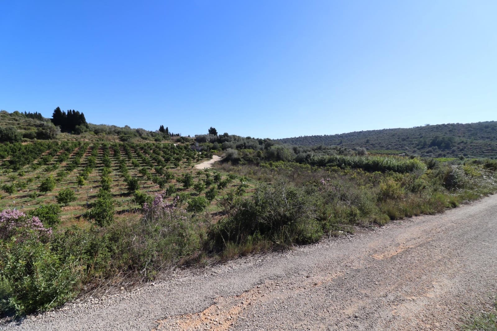 Rakentamaton maa myytävänä paikassa Ulldecona - 36 000 € (Ref: 9362633)