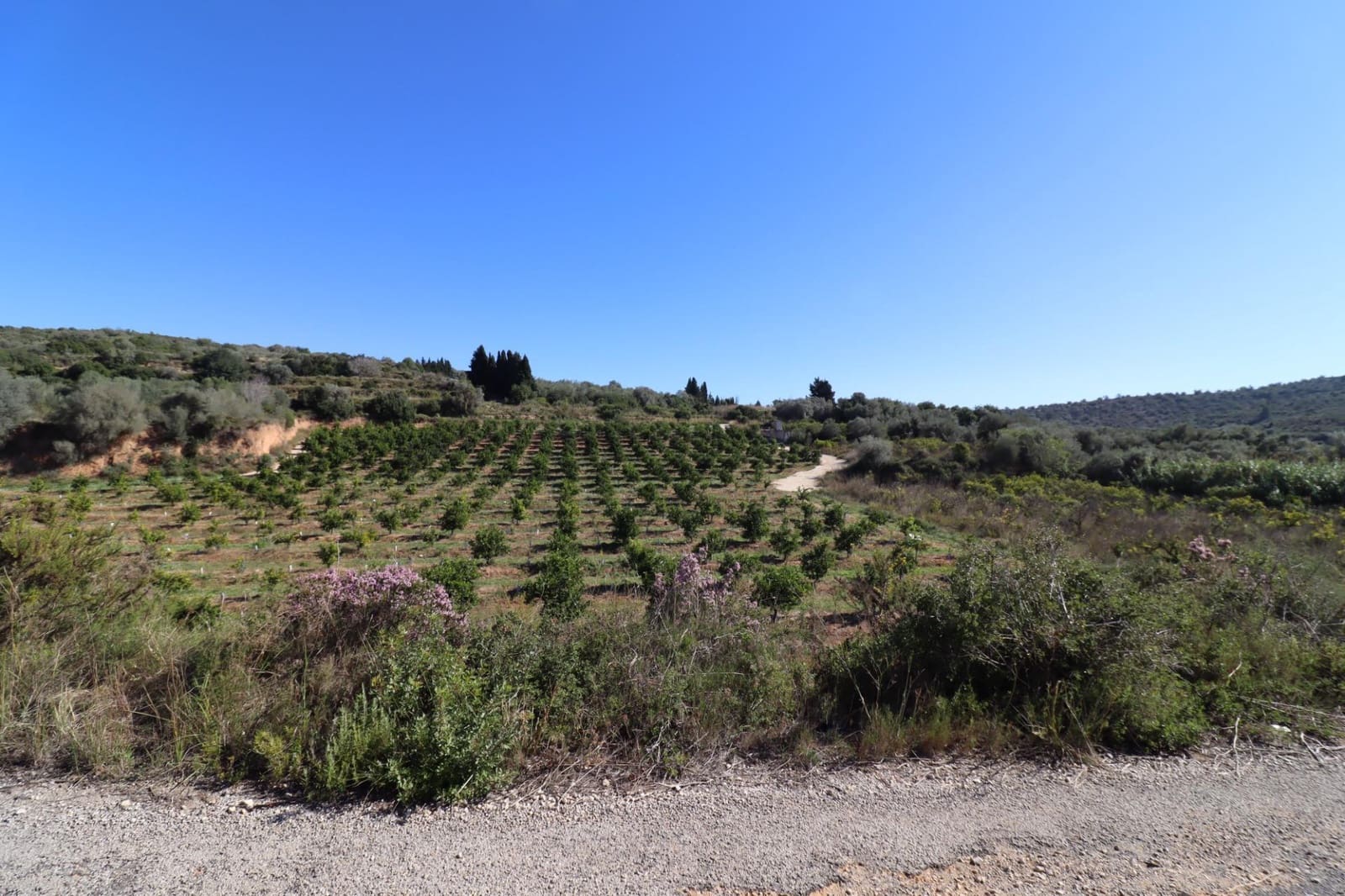 Rakentamaton maa myytävänä paikassa Ulldecona - 36 000 € (Ref: 9362633)