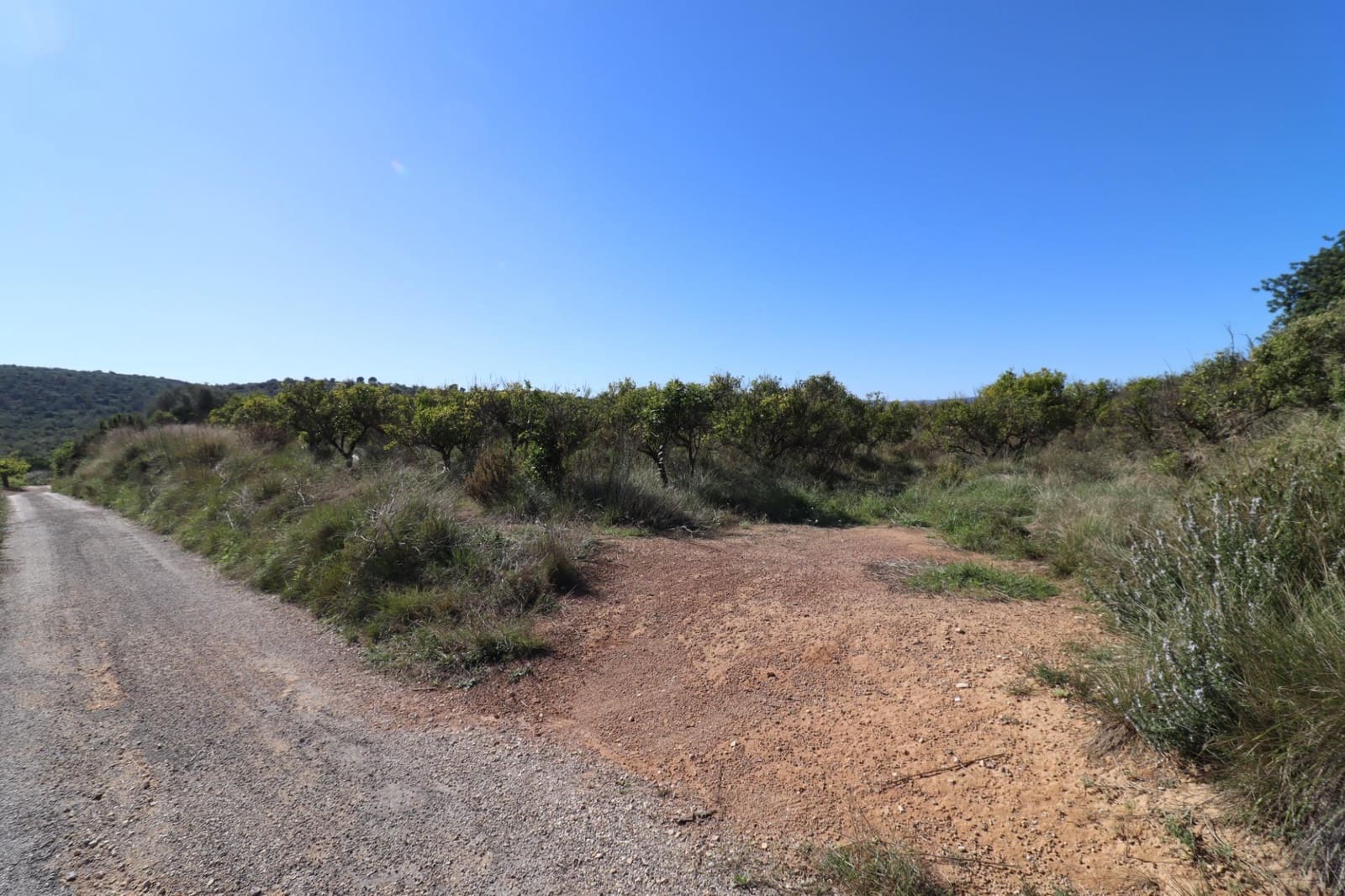 Rakentamaton maa myytävänä paikassa Ulldecona - 36 000 € (Ref: 9362633)