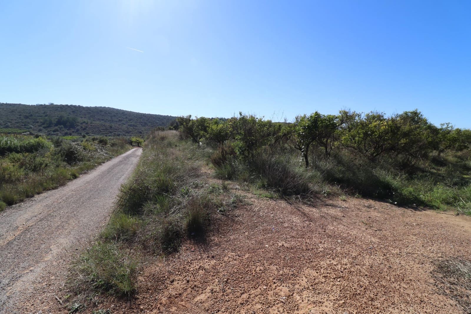 Rakentamaton maa myytävänä paikassa Ulldecona - 36 000 € (Ref: 9362633)