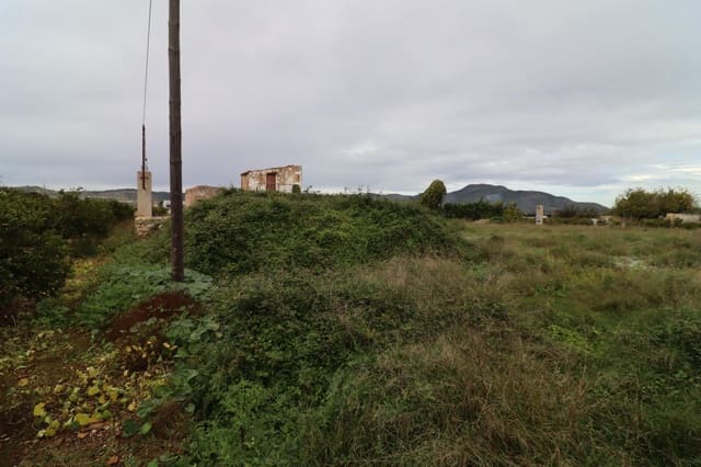 Undeveloped Land for sale in Alcanar - € 49,950 (Ref: 9395991)