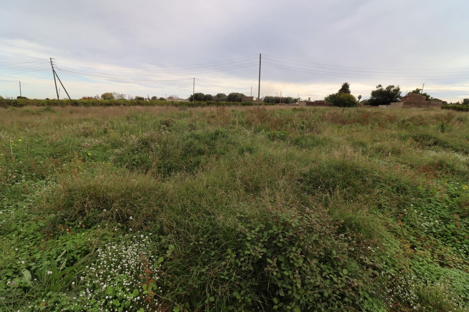 Grunde uden byggetilladelser til salg i Alcanar - € 49.950 (Ref: 9395991)