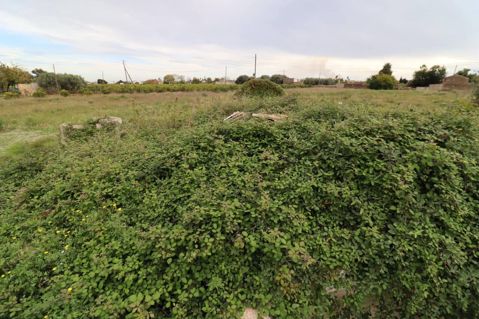 Grunde uden byggetilladelser til salg i Alcanar - € 49.950 (Ref: 9395991)