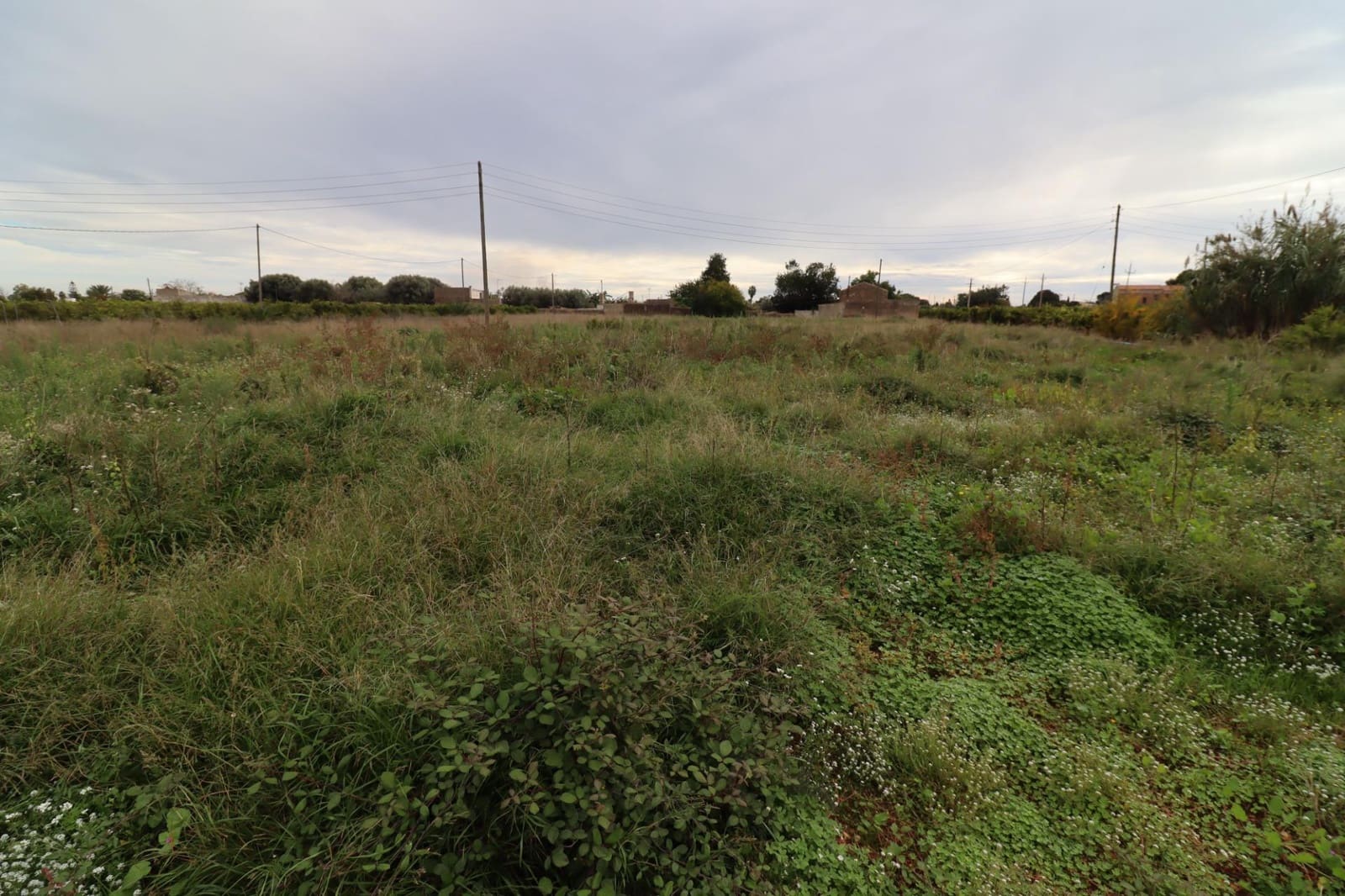 Grunde uden byggetilladelser til salg i Alcanar - € 49.950 (Ref: 9395991)