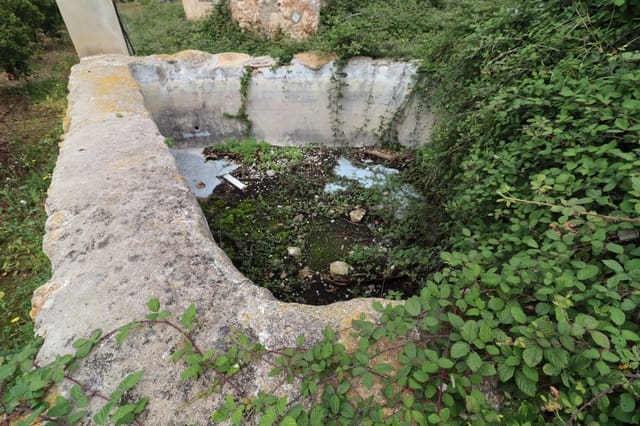 Undeveloped Land for sale in Alcanar - € 49,950 (Ref: 9395991)