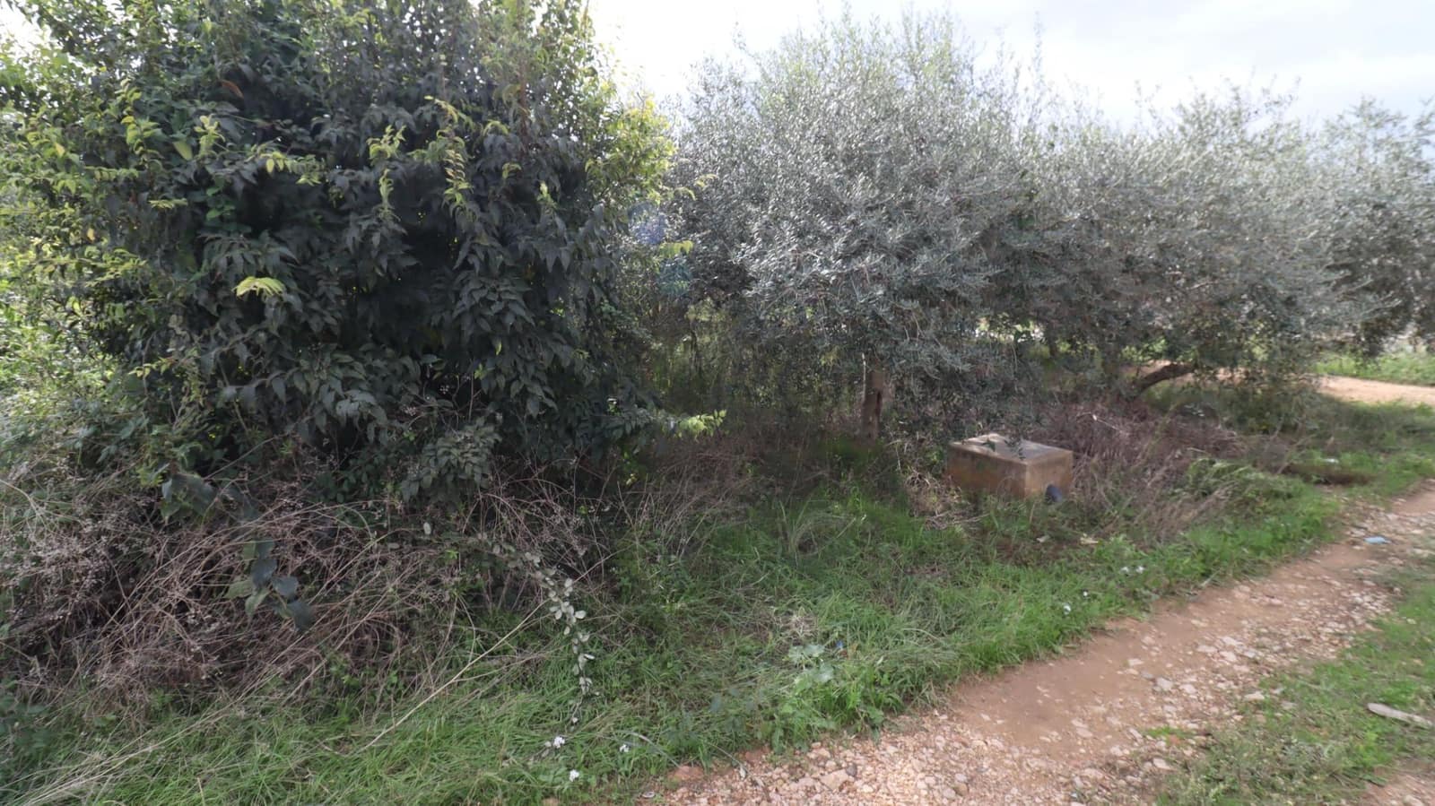 Grunde uden byggetilladelser til salg i Alcanar - € 9.300 (Ref: 9407965)