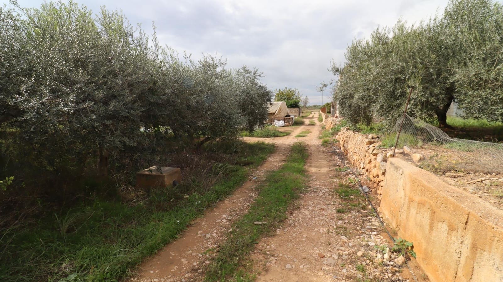 Grunde uden byggetilladelser til salg i Alcanar - € 9.300 (Ref: 9407965)