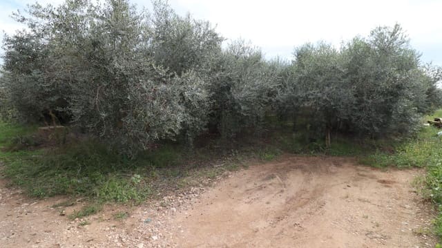 Undeveloped Land for sale in Alcanar - € 9,300 (Ref: 9407965)