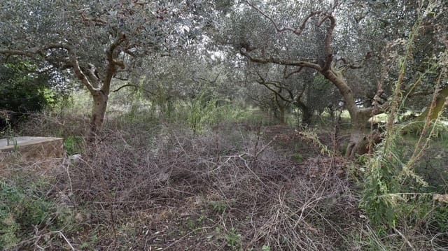 Undeveloped Land for sale in Alcanar - € 9,300 (Ref: 9407965)