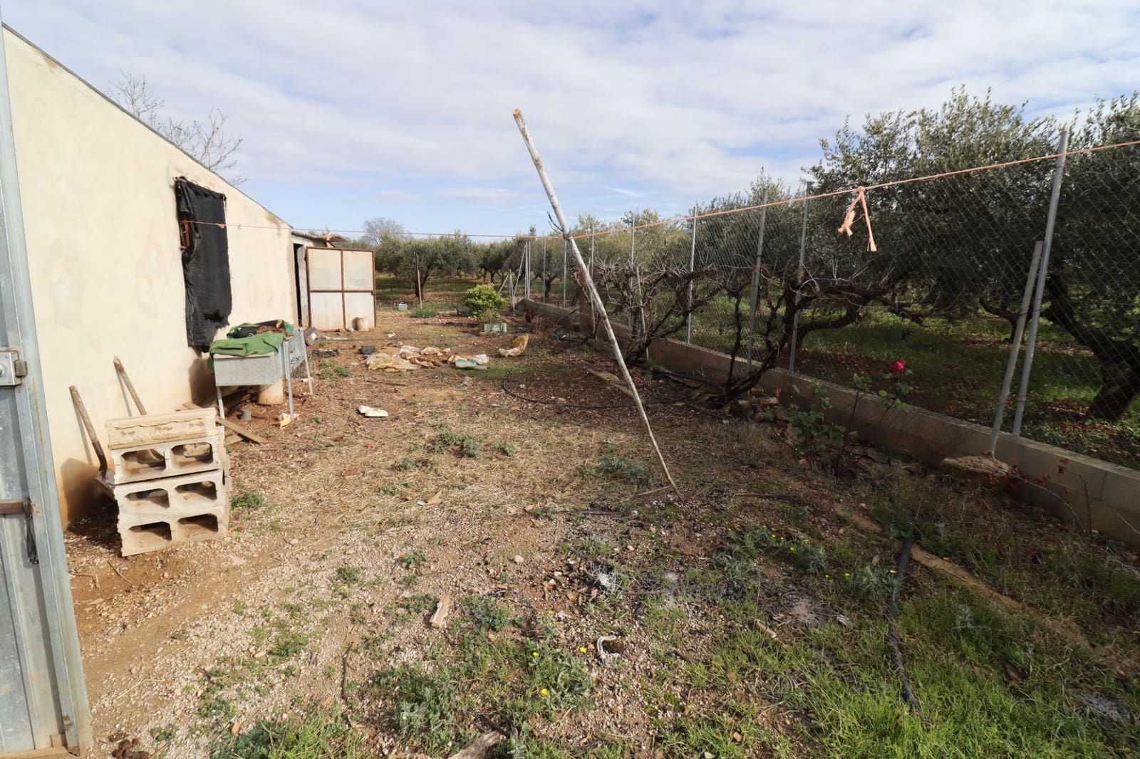 3 slaapkamer Finca/Landhuis te koop in Ulldecona met zwembad - € 128.000 (Ref: 9586494)