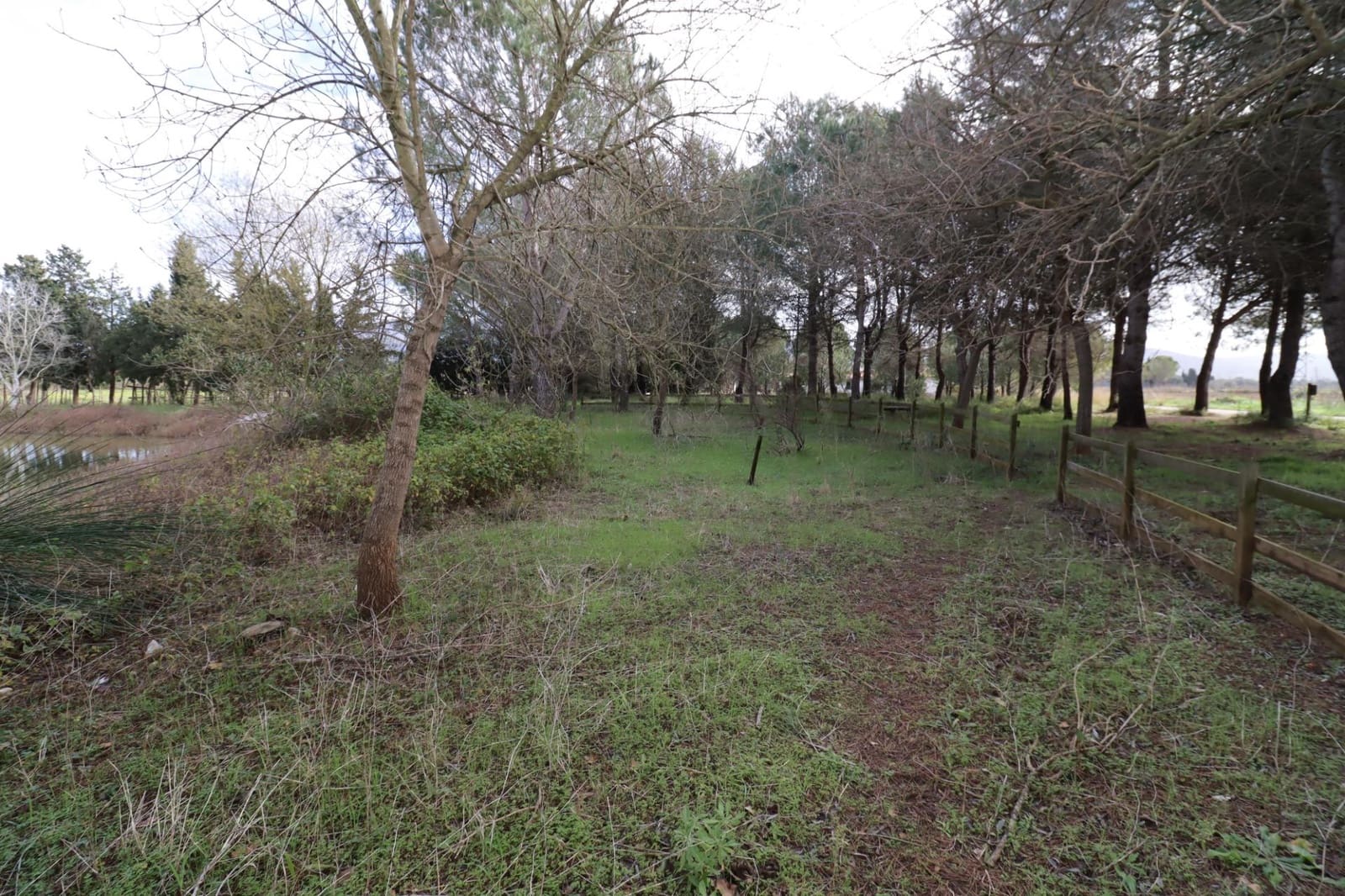 3 slaapkamer Finca/Landhuis te koop in Ulldecona met zwembad - € 128.000 (Ref: 9586494)