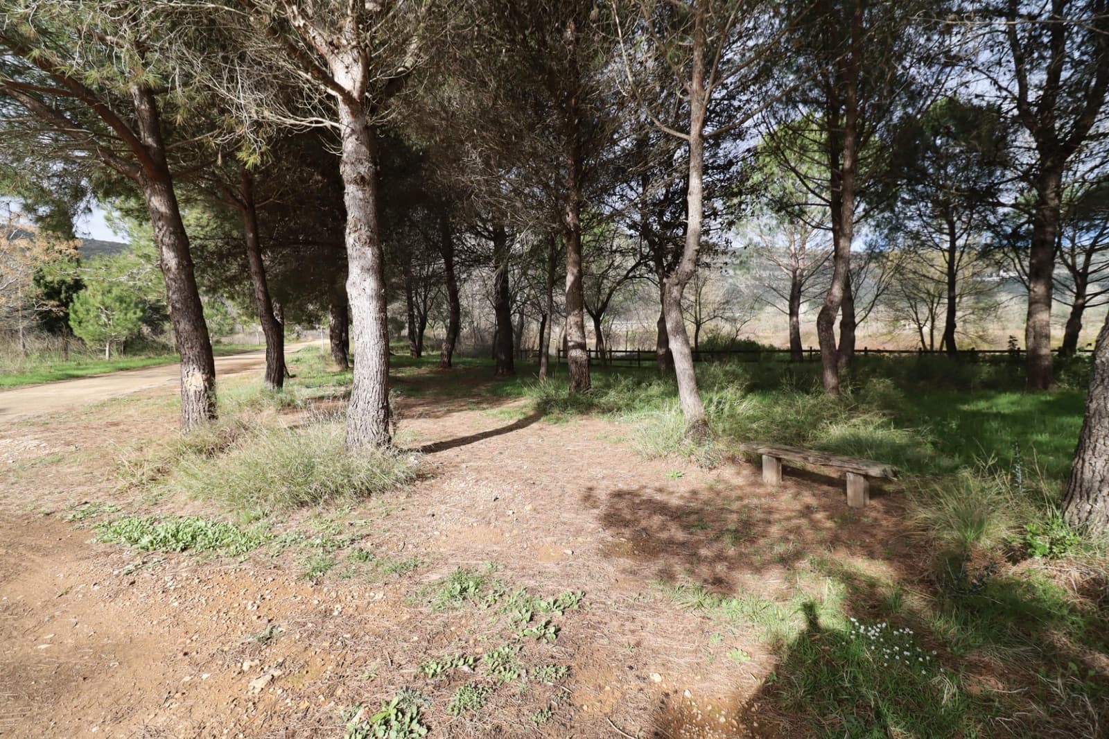 3 slaapkamer Finca/Landhuis te koop in Ulldecona met zwembad - € 128.000 (Ref: 9586494)