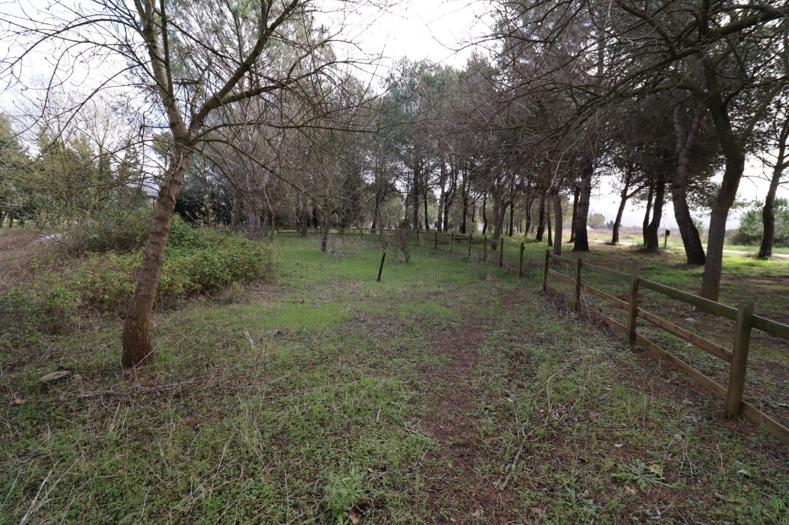 3 slaapkamer Finca/Landhuis te koop in Ulldecona met zwembad - € 128.000 (Ref: 9586494)