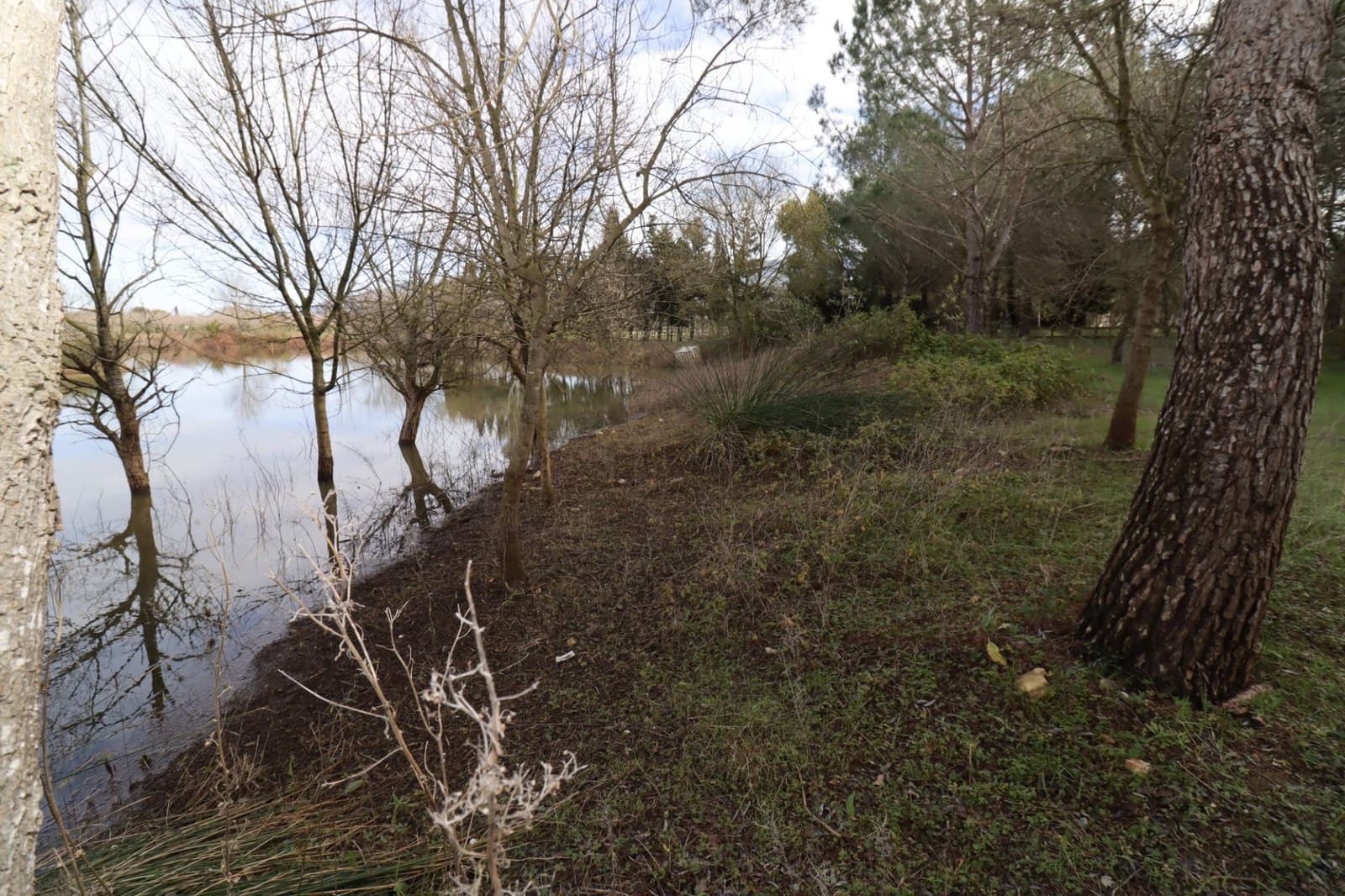 3 slaapkamer Finca/Landhuis te koop in Ulldecona met zwembad - € 128.000 (Ref: 9586494)