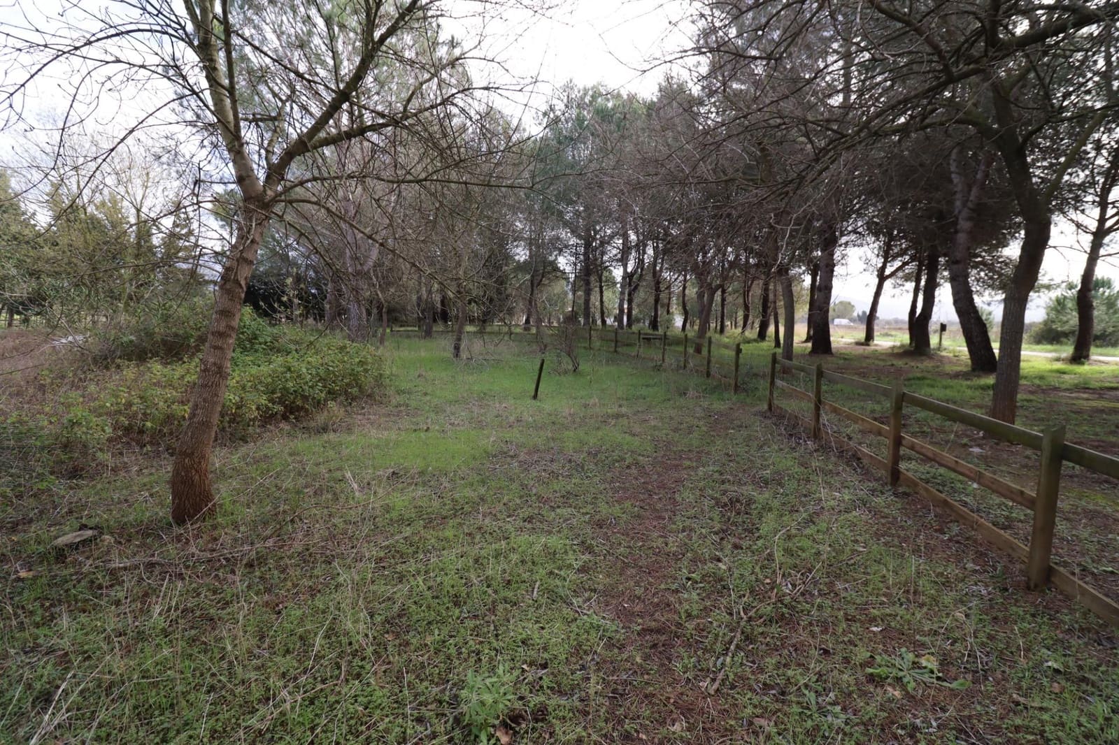 3 slaapkamer Finca/Landhuis te koop in Ulldecona met zwembad - € 128.000 (Ref: 9586494)