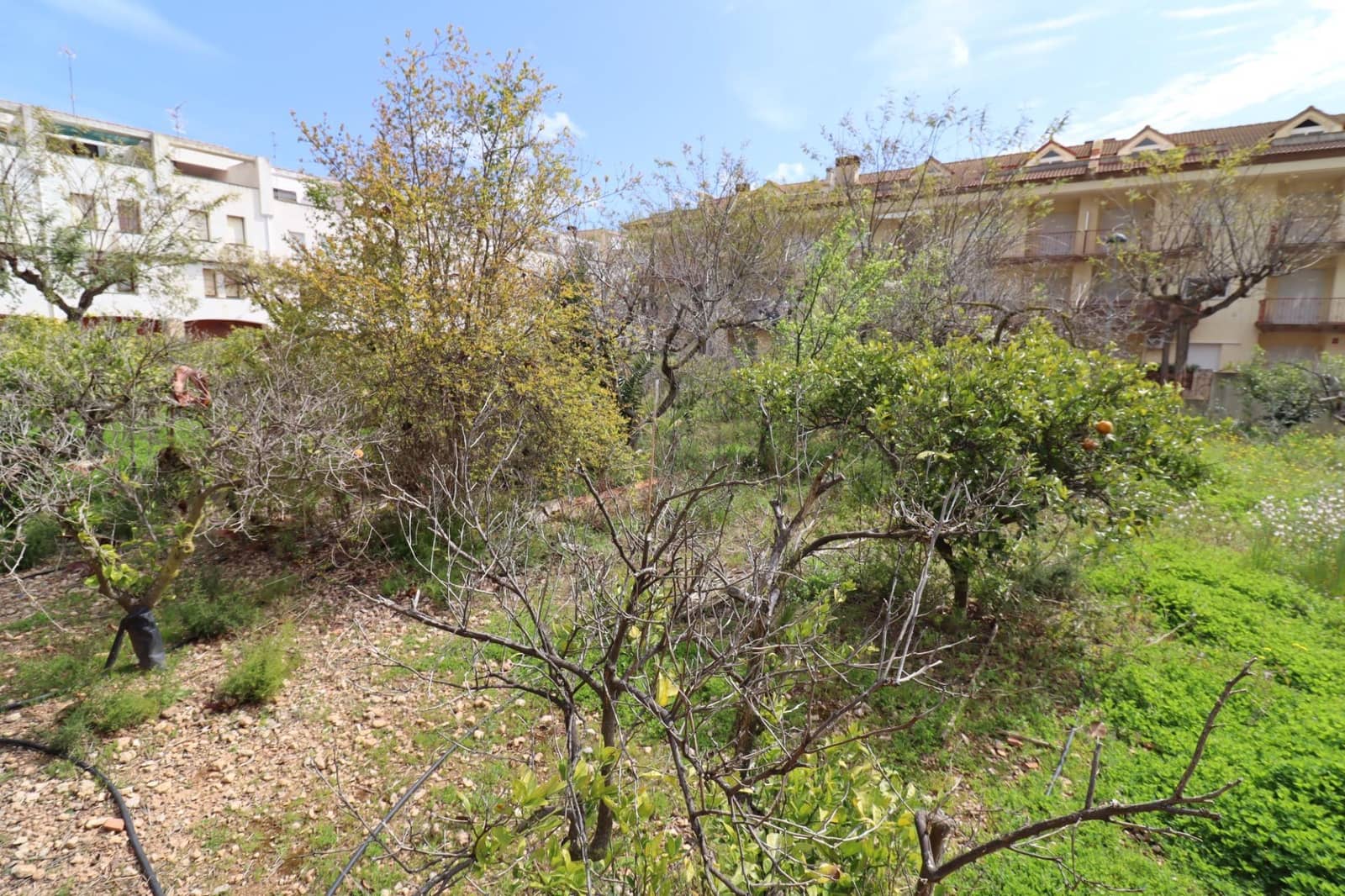 7 bedroom Villa for sale in Alcanar with pool - € 485,000 (Ref: 9701633)