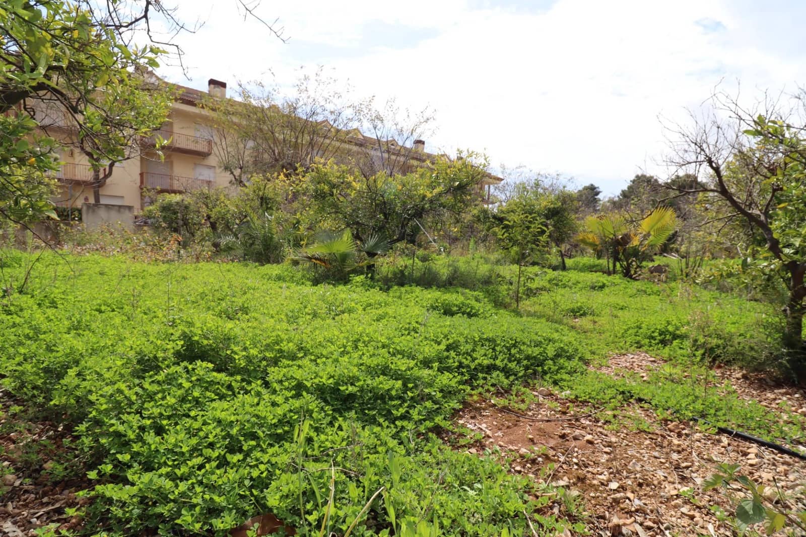 7 bedroom Villa for sale in Alcanar with pool - € 485,000 (Ref: 9701633)