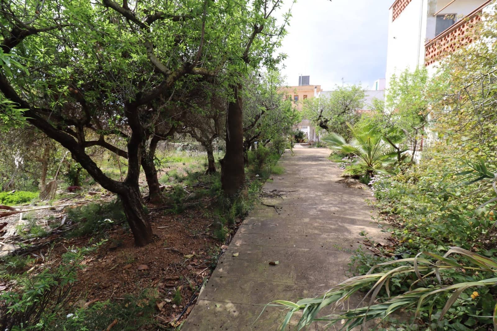 7 bedroom Villa for sale in Alcanar with pool - € 485,000 (Ref: 9701633)