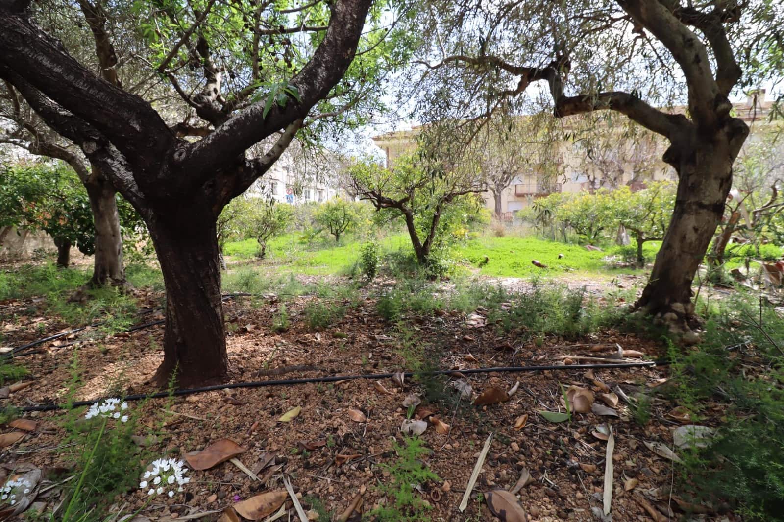 7 bedroom Villa for sale in Alcanar with pool - € 485,000 (Ref: 9701633)