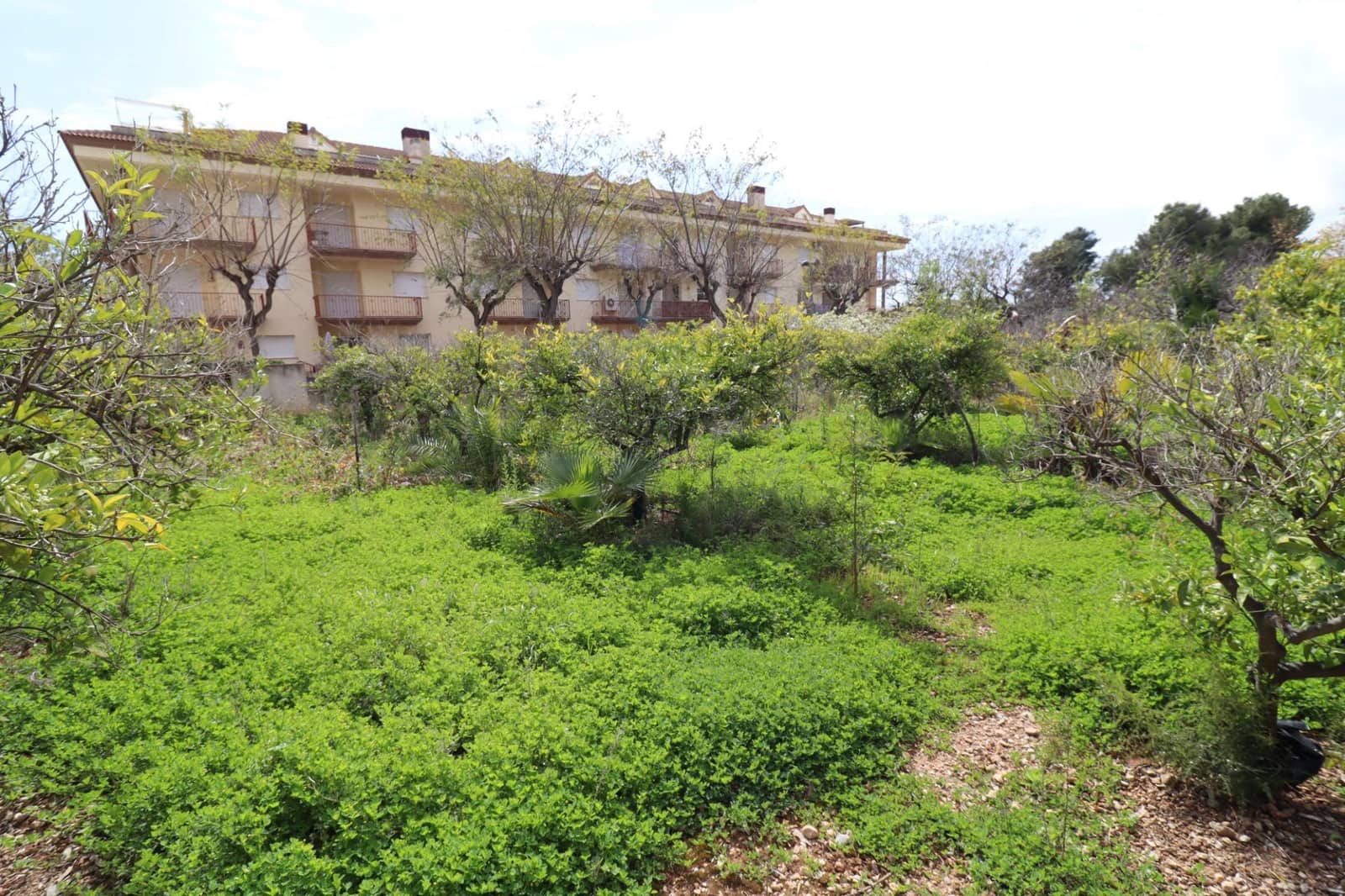 7 bedroom Villa for sale in Alcanar with pool - € 485,000 (Ref: 9701633)