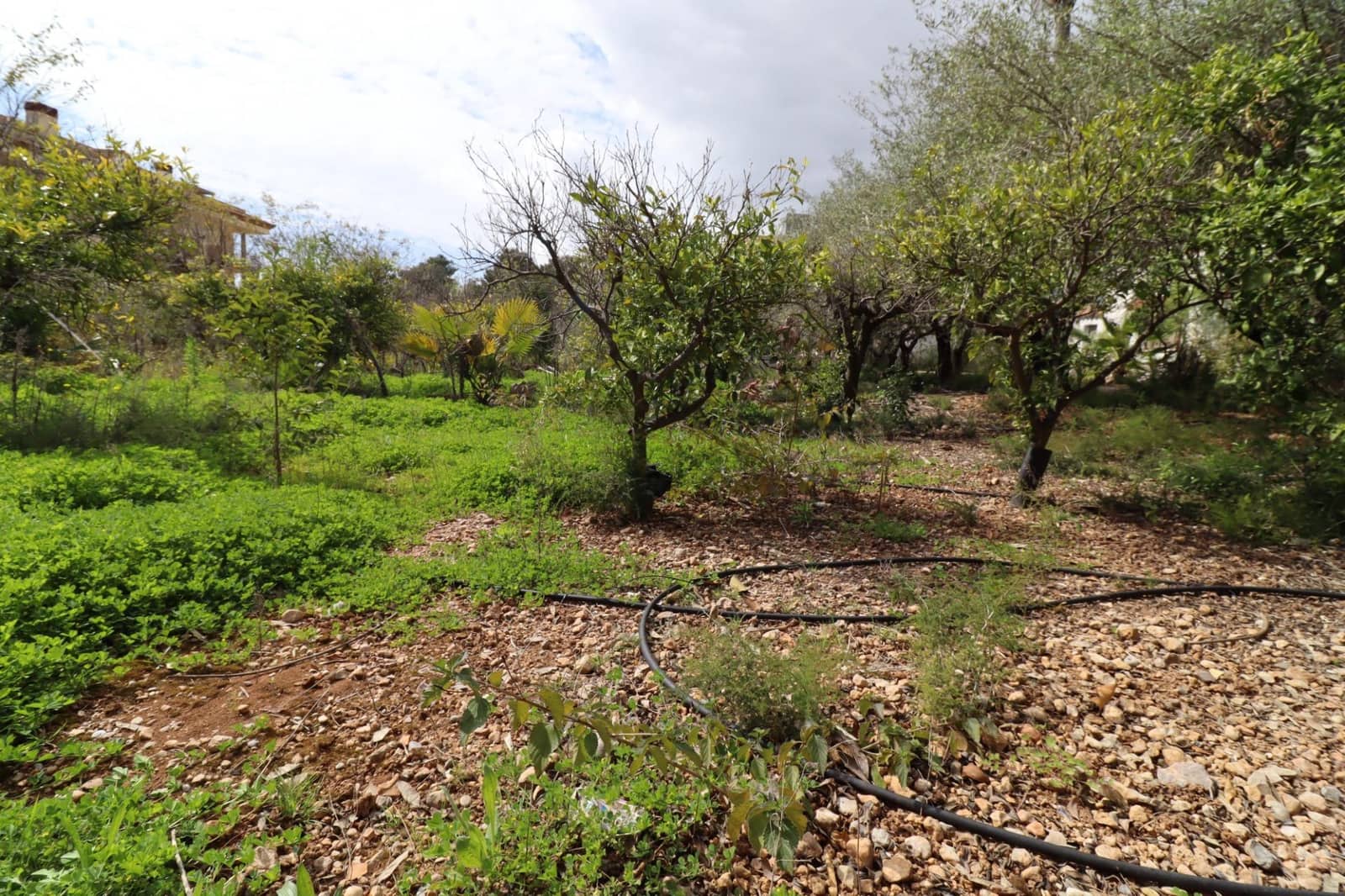 7 bedroom Villa for sale in Alcanar with pool - € 485,000 (Ref: 9701633)