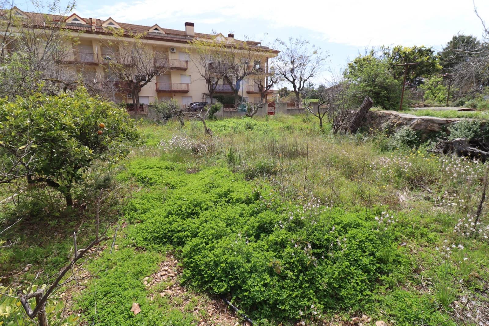 7 bedroom Villa for sale in Alcanar with pool - € 485,000 (Ref: 9701633)