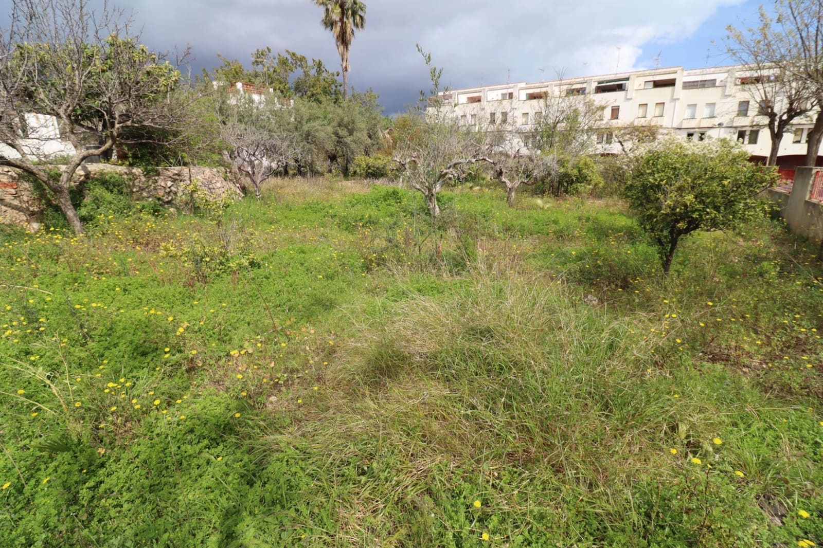 7 bedroom Villa for sale in Alcanar with pool - € 485,000 (Ref: 9701633)