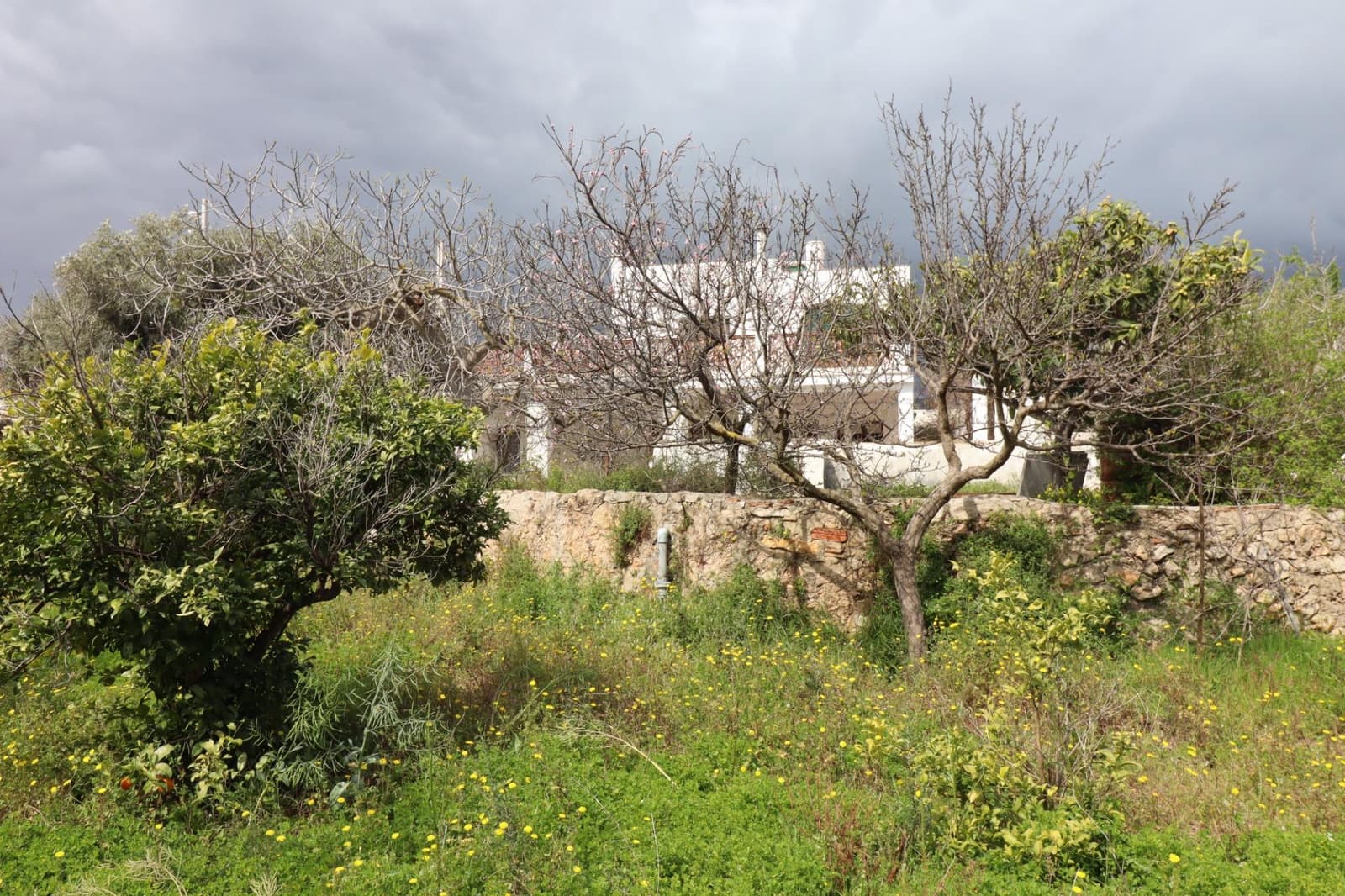 7 bedroom Villa for sale in Alcanar with pool - € 485,000 (Ref: 9701633)