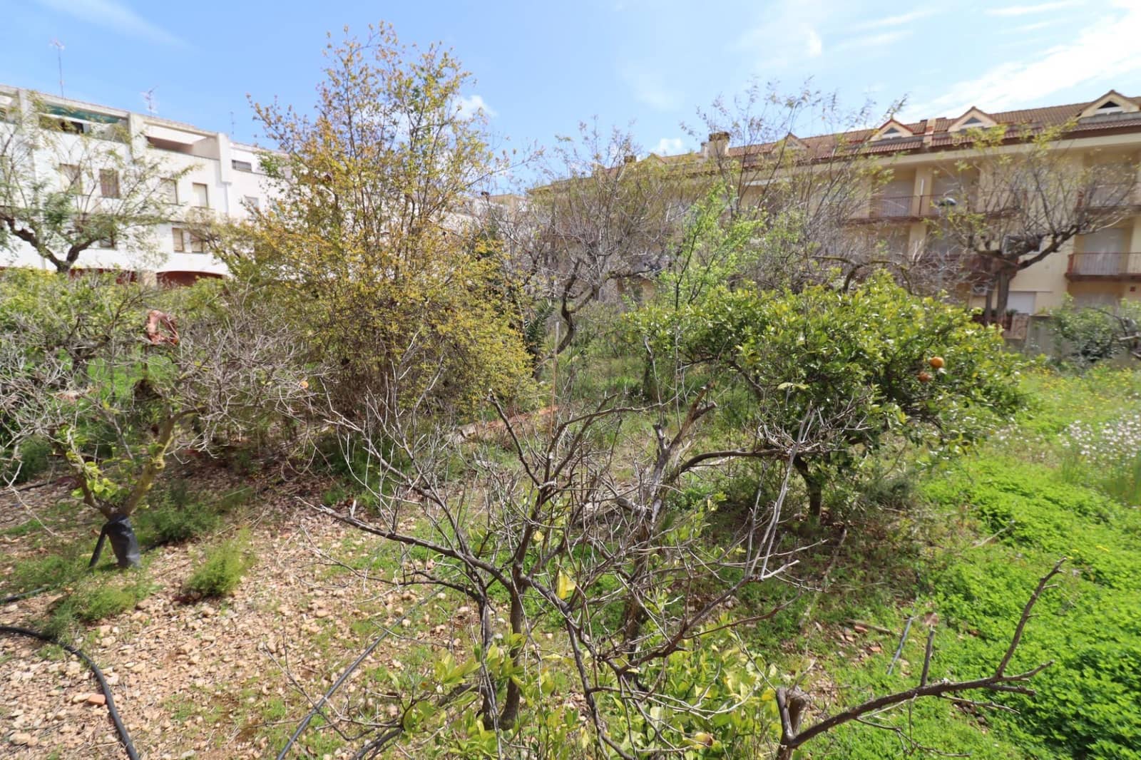 7 bedroom Villa for sale in Alcanar with pool - € 485,000 (Ref: 9701633)
