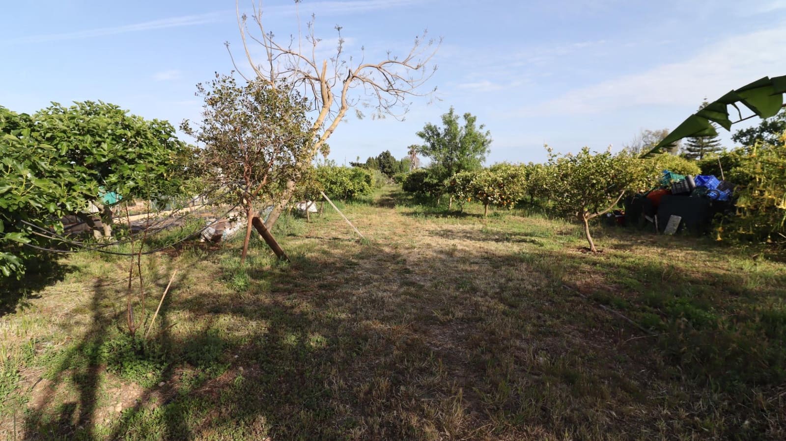 3 camera da letto Finca/Casa di Campagna in vendita in Les Cases d'Alcanar con piscina - 365.000 € (Rif: 9806478)