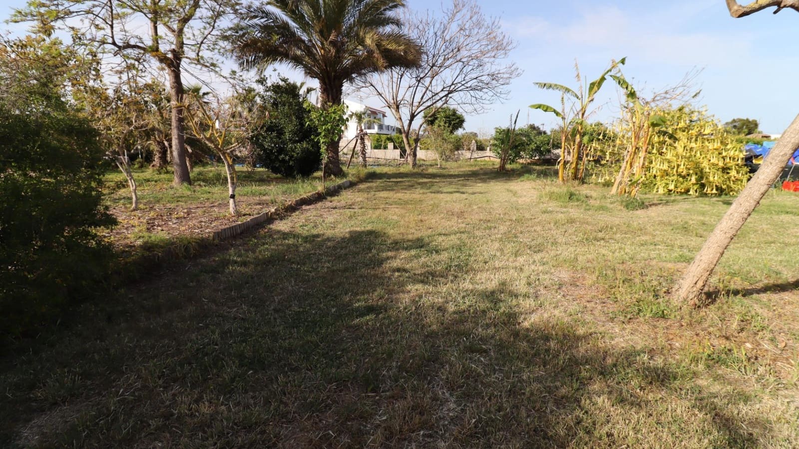 3 camera da letto Finca/Casa di Campagna in vendita in Les Cases d'Alcanar con piscina - 365.000 € (Rif: 9806478)