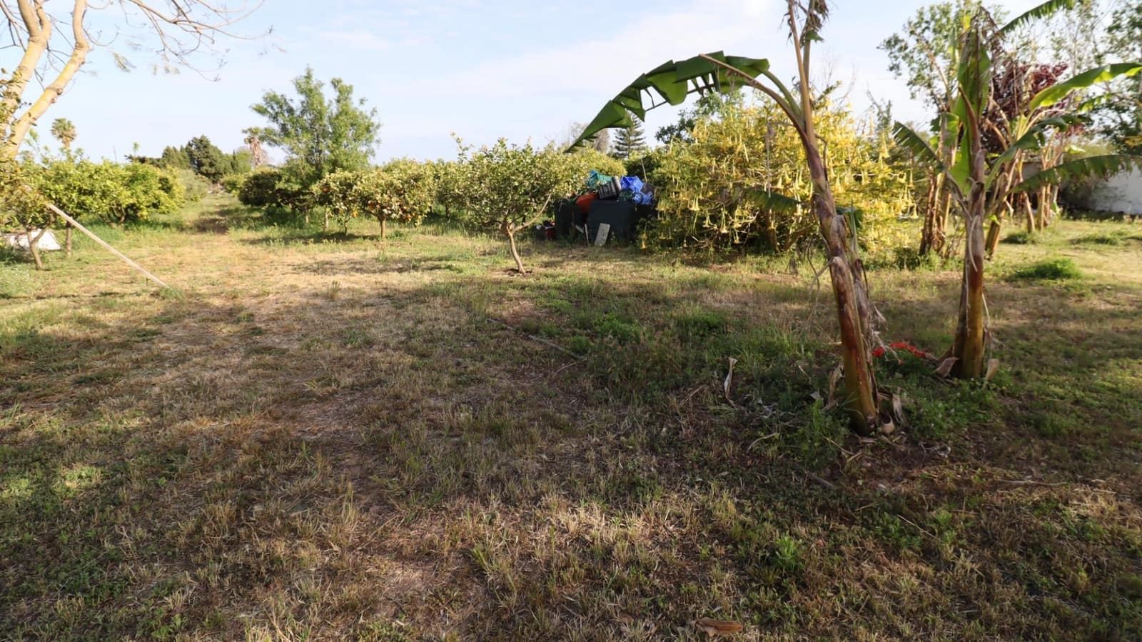 3 camera da letto Finca/Casa di Campagna in vendita in Les Cases d'Alcanar con piscina - 365.000 € (Rif: 9806478)