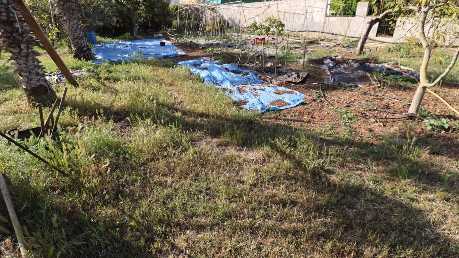 3 camera da letto Finca/Casa di Campagna in vendita in Les Cases d'Alcanar con piscina - 365.000 € (Rif: 9806478)